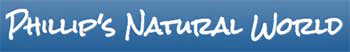 Phillip's Nature World